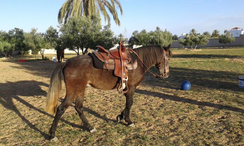 Menzel Churasco Djerba Aghir ภายนอก รูปภาพ