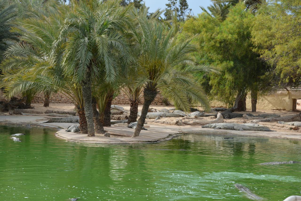Menzel Churasco Djerba Aghir ภายนอก รูปภาพ
